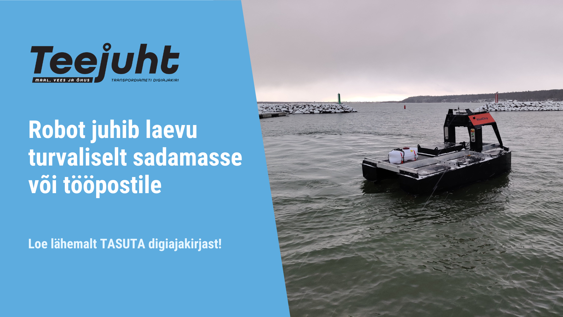 Pildil on kujutatud digiajakirja Teejuht ühe artikli tutvustust
