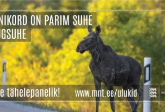 Mõnikord on parim suhe kaugsuhe