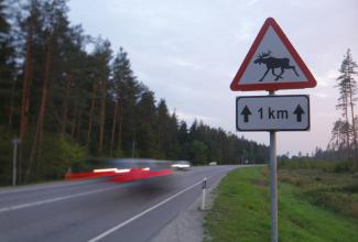 Põdra hoiatusmärk